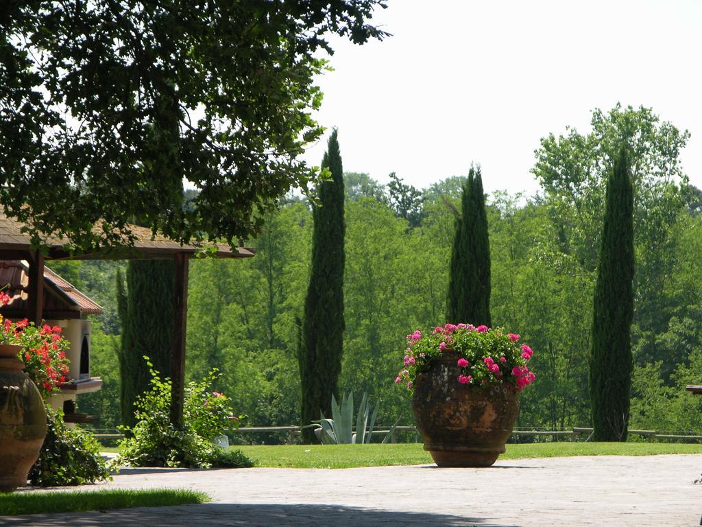 Podere Il Giurato Fauglia Екстер'єр фото